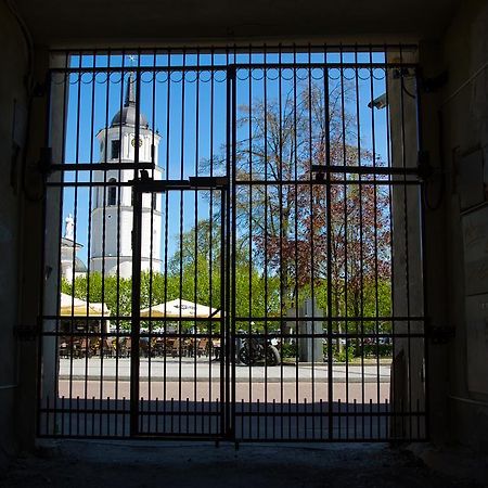 Cathedral Sq. Apartment - Odminiu Str. Vilnius Dış mekan fotoğraf