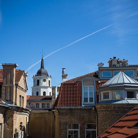 Cathedral Sq. Apartment - Odminiu Str. Vilnius Dış mekan fotoğraf