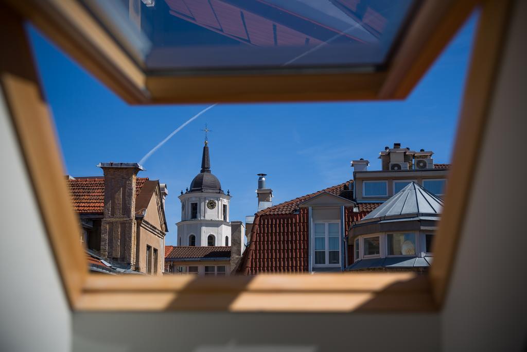 Cathedral Sq. Apartment - Odminiu Str. Vilnius Dış mekan fotoğraf
