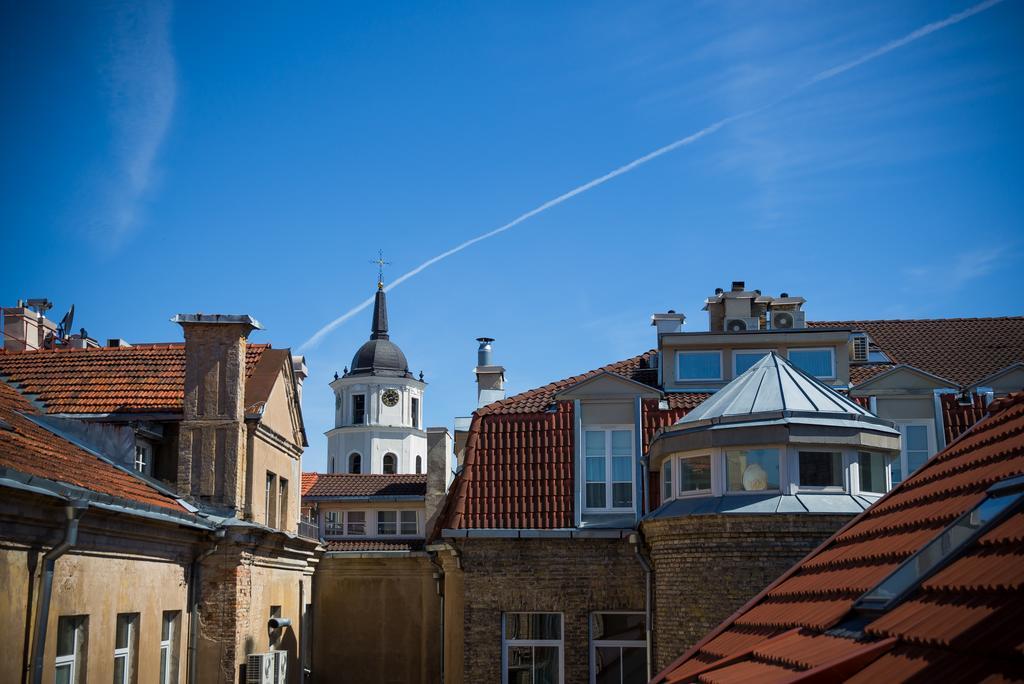 Cathedral Sq. Apartment - Odminiu Str. Vilnius Dış mekan fotoğraf
