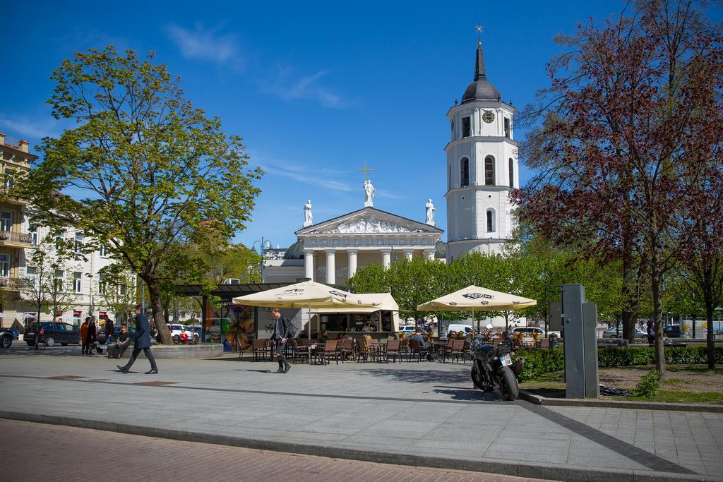 Cathedral Sq. Apartment - Odminiu Str. Vilnius Dış mekan fotoğraf